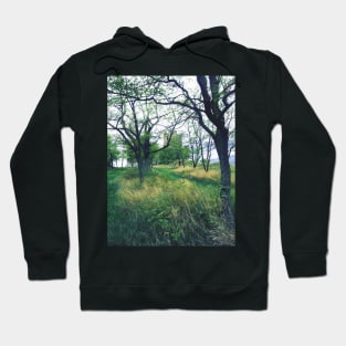 Ruins in the woods Hoodie